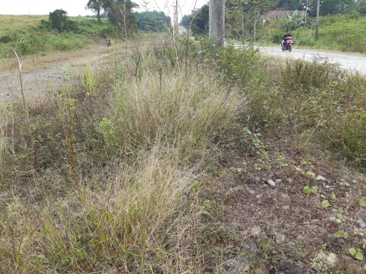 Jalan Quter Ringroad Siantar Terlantar