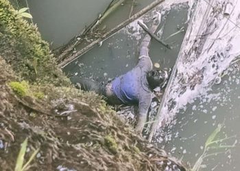 Ditemukan Mayat Mengapung Di Sungai Bahapal