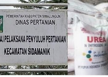 Dikecamatan Sidamanik Pupuk Bersubsidi Jenis Urea dan Ponska Tersedia di Empat Kios Pengecer Resmi