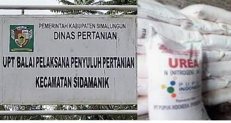 Dikecamatan Sidamanik Pupuk Bersubsidi Jenis Urea dan Ponska Tersedia di Empat Kios Pengecer Resmi