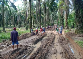 Masyarakat Gotong Royong Perbaiki Jalan PTPN IV Kebun Marihat