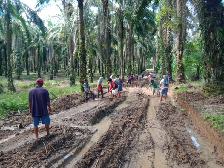 Masyarakat Gotong Royong Perbaiki Jalan PTPN IV Kebun Marihat