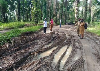 PTPN IV, RESPON PERMINTAAN MASYARAKAT UNTUK MEMPERBAIKI JALAN DESA.