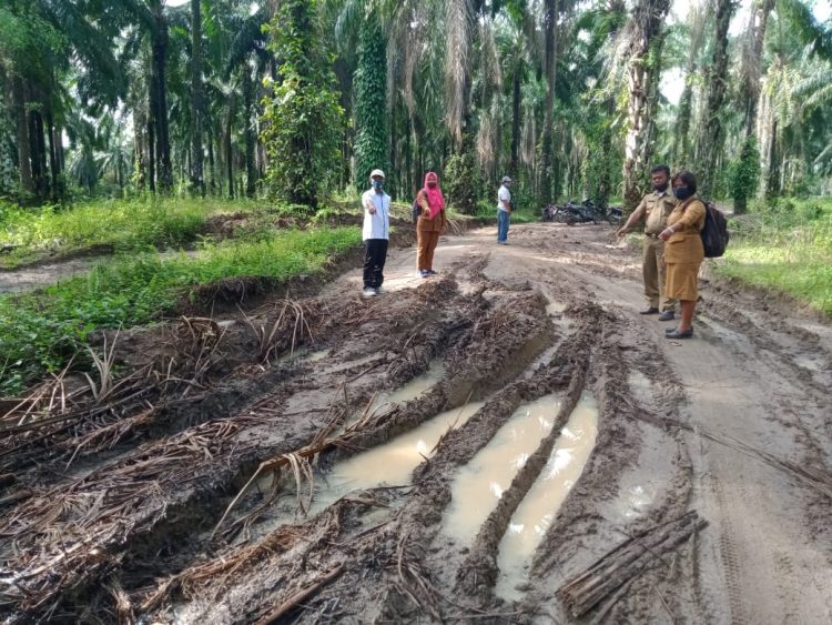 PTPN IV, RESPON PERMINTAAN MASYARAKAT UNTUK MEMPERBAIKI JALAN DESA.