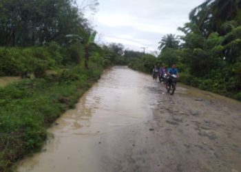 JALAN KABUPATEN ASAHAN RUSAK PARAH DI RUAS JALAN SEI KOPAS