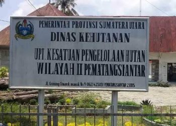 JPKP Simalungun Bakal Bentuk Kelompok Tani Hutan