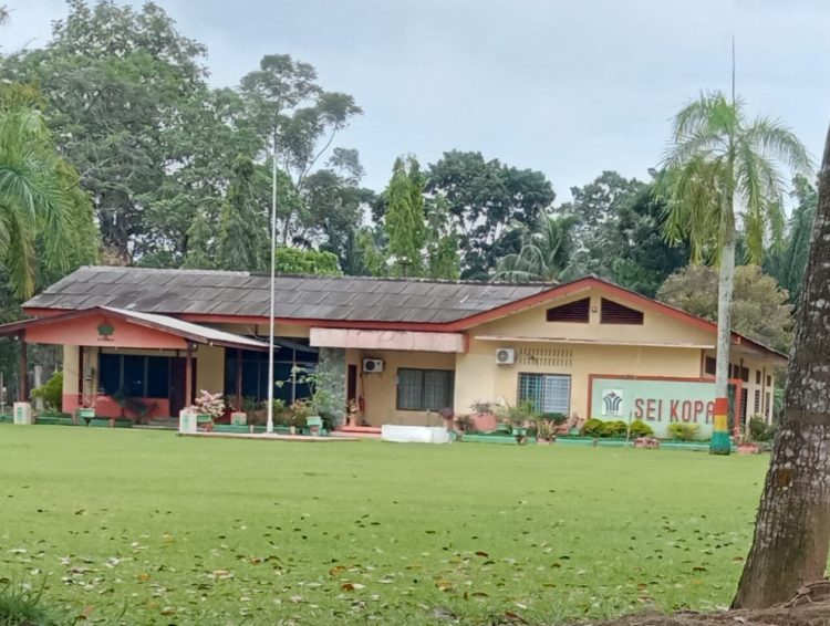 Promosi JABATAN Di PTPN IV SEI KOPAS DIDUGA KENTAL DENGAN PRAKTEK KORUPSI, KOLUSI DAN NEPOTISME