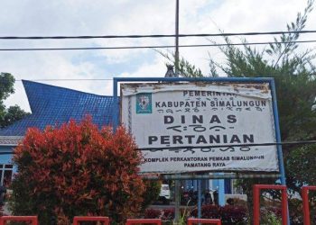 Proyek Dinas Pertanian Simalungun Tanpa Proposal Kelompok Tani
