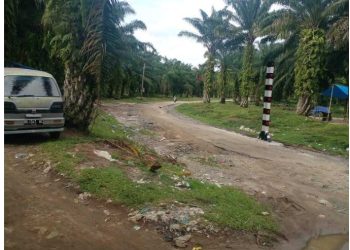 Kadishub Simalungun: PEMASANGAN FORTAL Sesuai UU, Namun bisa di buka PU asal ada Surat.
