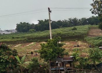 TANAH NEGARA DIKUASAI TRIMO TANPA ALAS HAK.