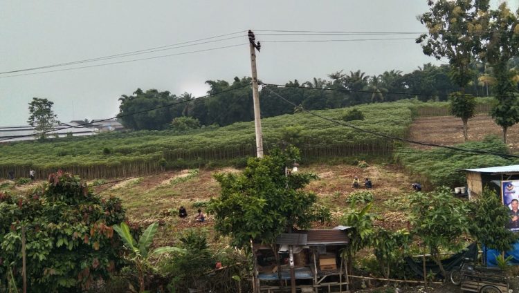 TANAH NEGARA DIKUASAI TRIMO TANPA ALAS HAK.