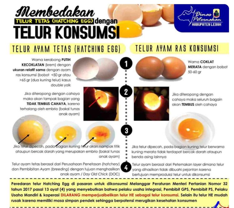 TELOR INFERTIL YANG BEREDAR DI  SIANTAR BERASAL DARI LUAR WILAYAH SIANTAR-SIMALUNGUN